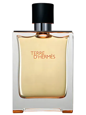 Frasco de Hermès Terre d'Hermès